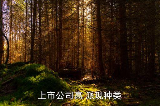 上市公司高 派現(xiàn)種類(lèi)