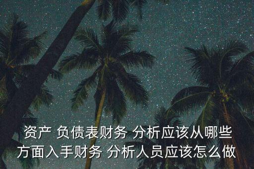  資產(chǎn) 負債表財務 分析應該從哪些方面入手財務 分析人員應該怎么做