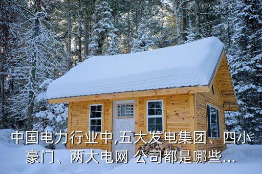 中國(guó)電力行業(yè)中,五大發(fā)電集團(tuán)、四小豪門、兩大電網(wǎng) 公司都是哪些...