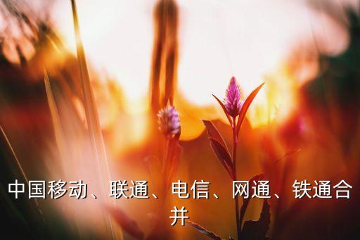 中國(guó)移動(dòng)、聯(lián)通、電信、網(wǎng)通、鐵通合并