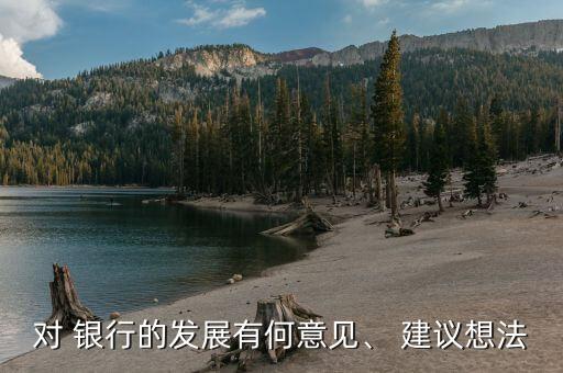 對(duì) 銀行的發(fā)展有何意見(jiàn)、 建議想法