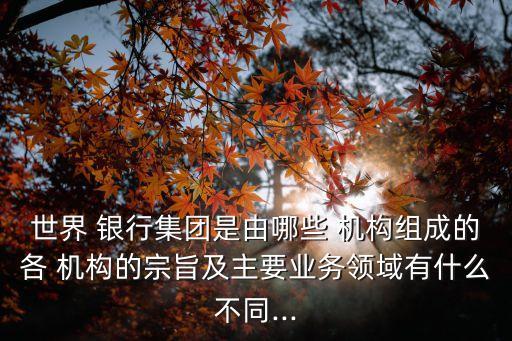 世界 銀行集團是由哪些 機構(gòu)組成的各 機構(gòu)的宗旨及主要業(yè)務(wù)領(lǐng)域有什么不同...