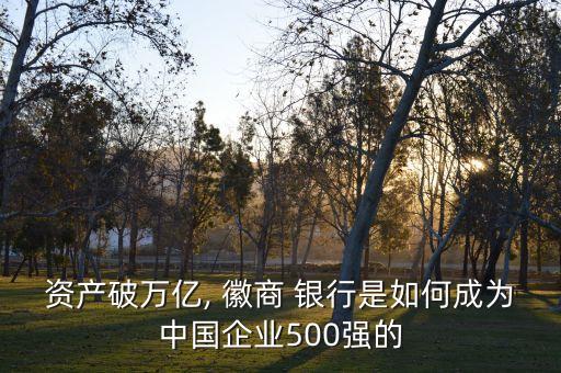 資產(chǎn)破萬億, 徽商 銀行是如何成為中國(guó)企業(yè)500強(qiáng)的