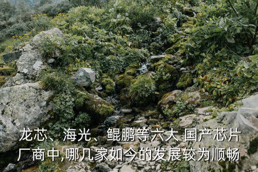  龍芯、海光、鯤鵬等六大 國(guó)產(chǎn)芯片廠商中,哪幾家如今的發(fā)展較為順暢