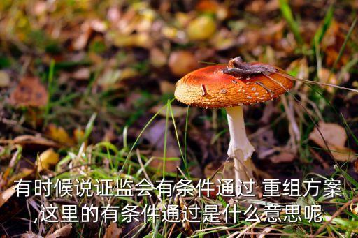 中國證監(jiān)會(huì)上市公司并購重組審核委員會(huì),上市公司并購重組審核委員會(huì)工作規(guī)程