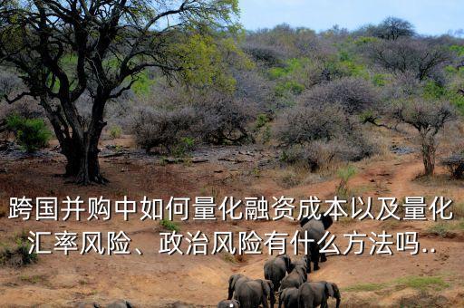 跨國并購中如何量化融資成本以及量化匯率風(fēng)險、政治風(fēng)險有什么方法嗎...