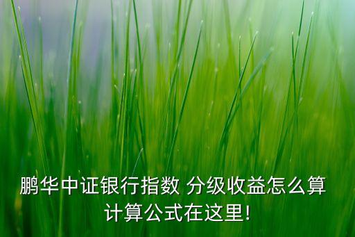鵬華中證銀行指數 分級收益怎么算 計算公式在這里!