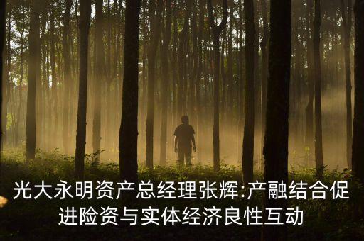 光大永明資產(chǎn)總經(jīng)理張輝:產(chǎn)融結(jié)合促進(jìn)險資與實體經(jīng)濟(jì)良性互動
