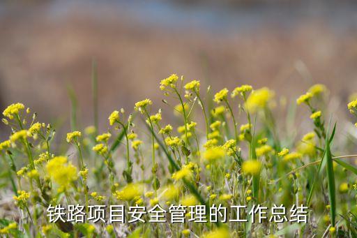 鐵路項目安全管理的工作總結