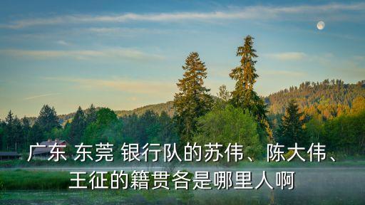 廣東 東莞 銀行隊(duì)的蘇偉、陳大偉、王征的籍貫各是哪里人啊