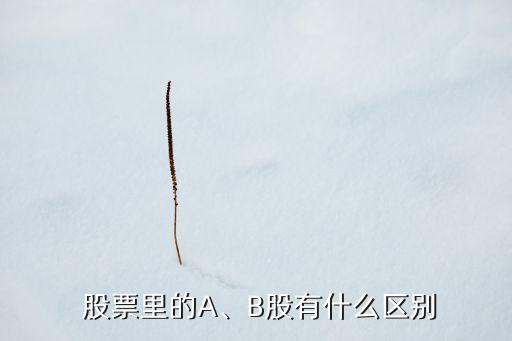  股票里的A、B股有什么區(qū)別