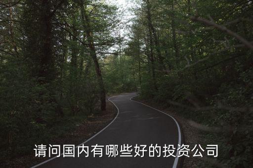 請問國內有哪些好的投資公司