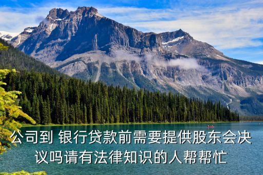 公司到 銀行貸款前需要提供股東會(huì)決議嗎請有法律知識(shí)的人幫幫忙