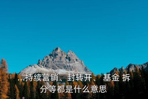 ...持續(xù)營(yíng)銷(xiāo)、封轉(zhuǎn)開(kāi)、 基金 拆分等都是什么意思