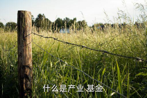 什么是產業(yè) 基金