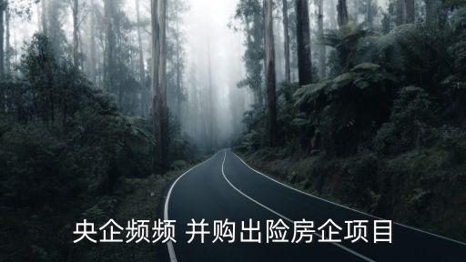 中國(guó)未來并購(gòu),2021中國(guó)并購(gòu)案