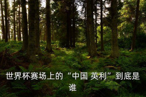 世界杯賽場(chǎng)上的“中國(guó) 英利”到底是誰