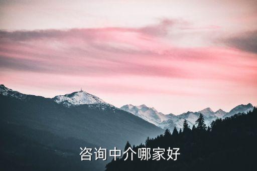  咨詢(xún)中介哪家好