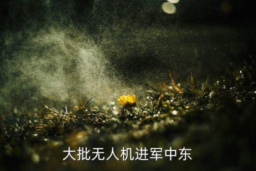 大批無(wú)人機(jī)進(jìn)軍中東