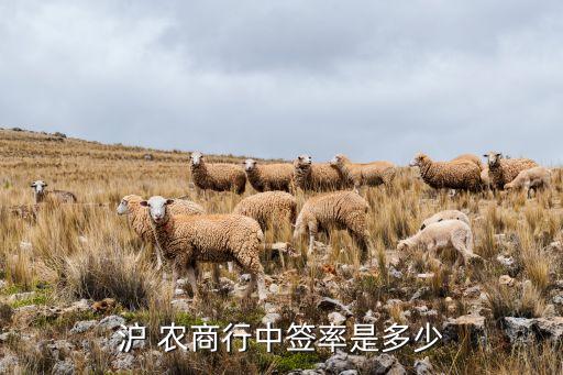 上海農商銀行股票,農商行股金暴漲