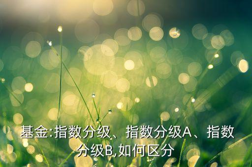  基金:指數(shù)分級、指數(shù)分級A、指數(shù)分級B,如何區(qū)分