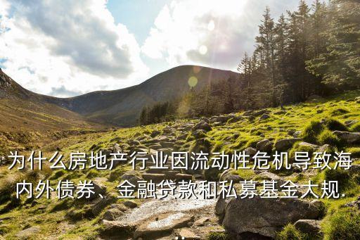 為什么房地產(chǎn)行業(yè)因流動性危機(jī)導(dǎo)致海內(nèi)外債券、金融貸款和私募基金大規(guī)...