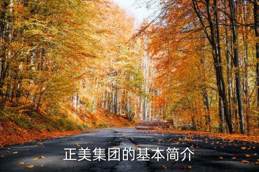 正美集團(tuán)的基本簡(jiǎn)介