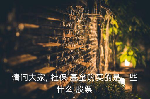 社保107基金持有的股票,2022年社?；鹬貍}股票