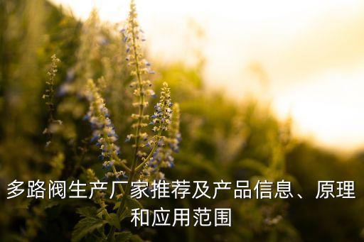 多路閥生產(chǎn)廠家推薦及產(chǎn)品信息、原理和應用范圍