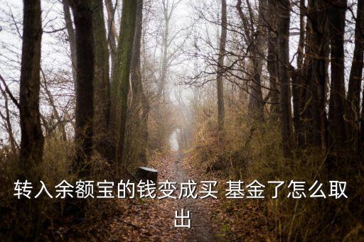 轉(zhuǎn)入余額寶的錢(qián)變成買(mǎi) 基金了怎么取出