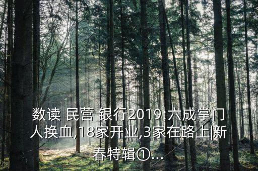 數(shù)讀 民營(yíng) 銀行2019:六成掌門人換血,18家開(kāi)業(yè),3家在路上|新春特輯①...
