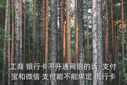 工商 銀行卡不開(kāi)通網(wǎng)銀的話(huà), 支付寶和微信 支付能不能綁定 銀行卡