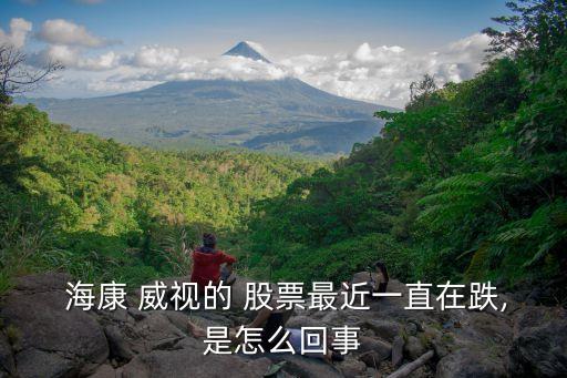  ?？?威視的 股票最近一直在跌,是怎么回事
