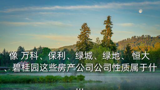 像 萬科、保利、綠城、綠地、 恒大、碧桂園這些房產(chǎn)公司公司性質(zhì)屬于什...