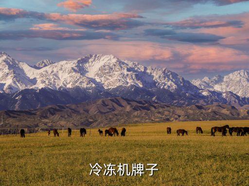 煙臺冰輪制冷空調(diào)節(jié)能服務有限公司