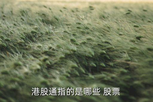 入選深港通的股票,深港通新增股票名單查詢(xún)