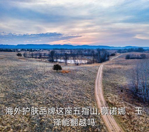 海外護(hù)膚品牌這座五指山,薇諾娜、玉澤能翻越嗎