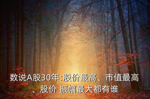 數(shù)說A股30年:股價最高、市值最高、股價 振幅最大都有誰