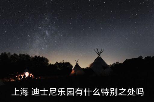  上海 迪士尼樂(lè)園有什么特別之處嗎