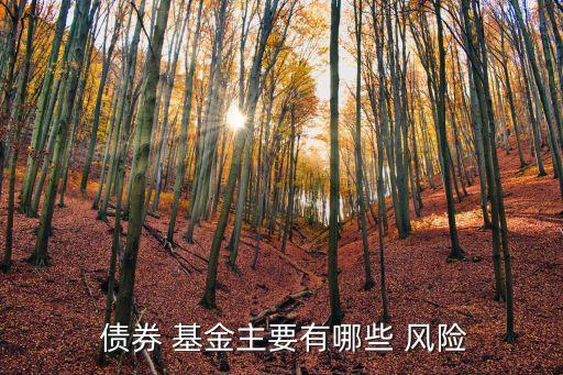  債券 基金主要有哪些 風(fēng)險