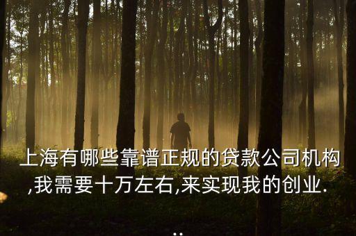  上海有哪些靠譜正規(guī)的貸款公司機構(gòu),我需要十萬左右,來實現(xiàn)我的創(chuàng)業(yè)...