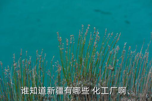 誰知道新疆有哪些 化工廠啊、