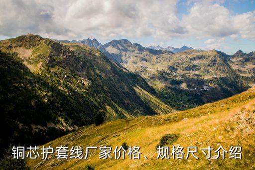 銅芯護套線廠家價格、規(guī)格尺寸介紹