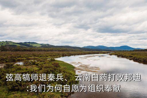 弦高犒師退秦兵、 云南白藥打敗邦迪:我們?yōu)楹巫栽笧榻M織奉獻