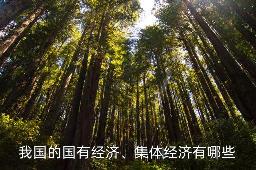 我國的國有經(jīng)濟、集體經(jīng)濟有哪些