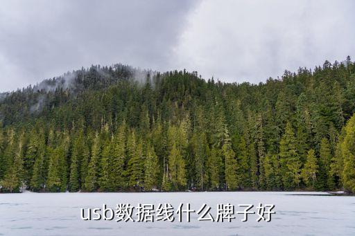 usb數(shù)據(jù)線(xiàn)什么牌子好