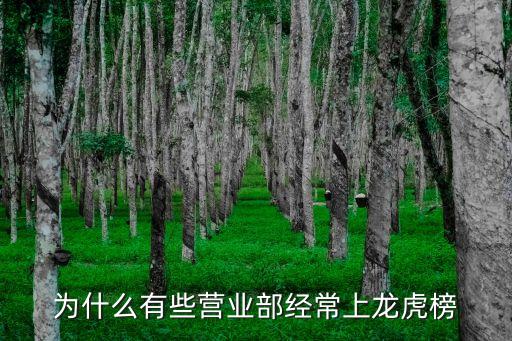 國(guó)信上海北京東路,上海口腔醫(yī)院北京東路電話