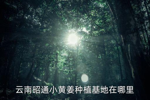 云南省魯甸縣云香有限責任公司,魯甸縣榮昌建筑工程有限責任公司