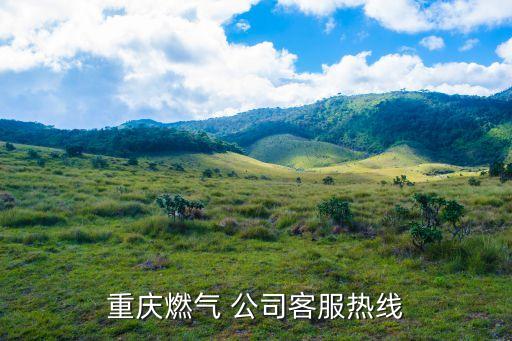 重慶燃?xì)?公司客服熱線(xiàn)