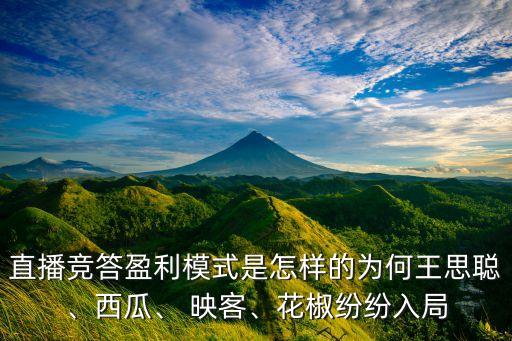 直播競(jìng)答盈利模式是怎樣的為何王思聰、西瓜、 映客、花椒紛紛入局